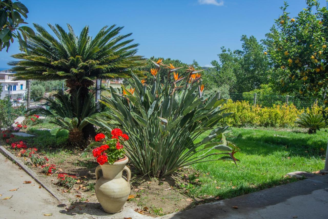 Casa Yucca Villa Forio  Luaran gambar