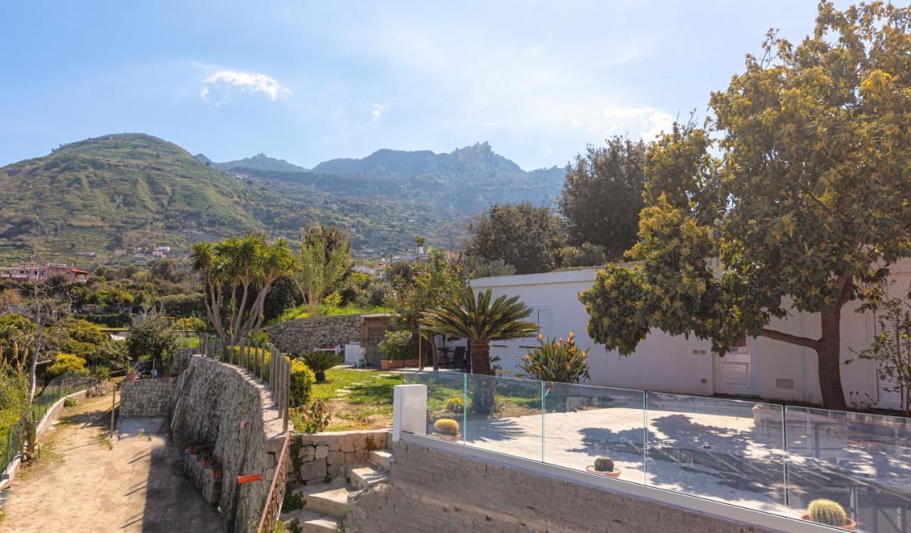 Casa Yucca Villa Forio  Luaran gambar
