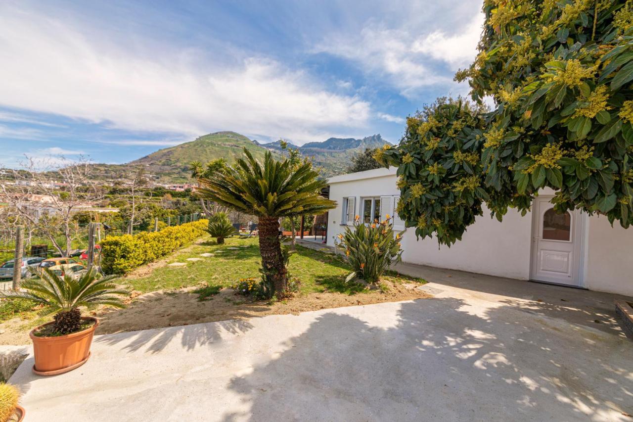 Casa Yucca Villa Forio  Luaran gambar