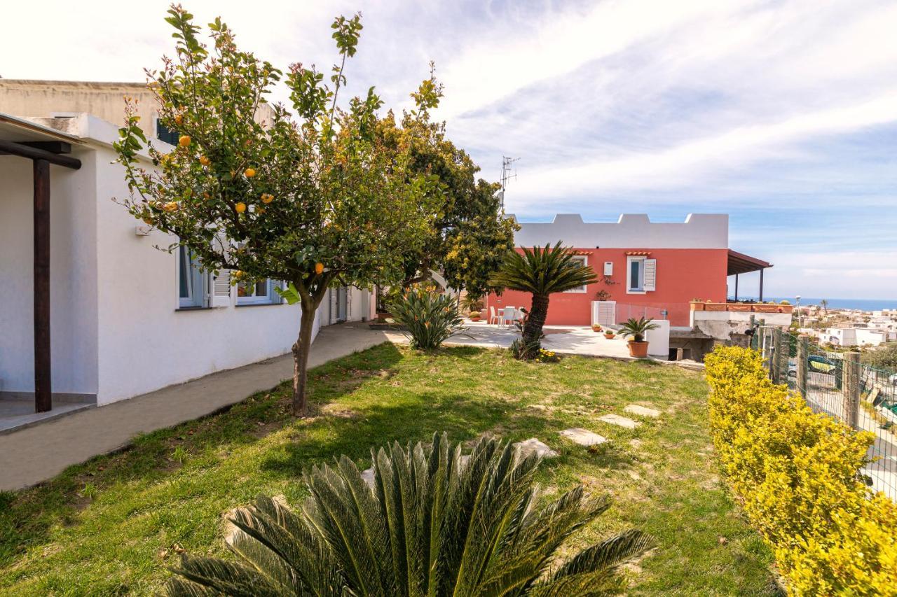 Casa Yucca Villa Forio  Luaran gambar