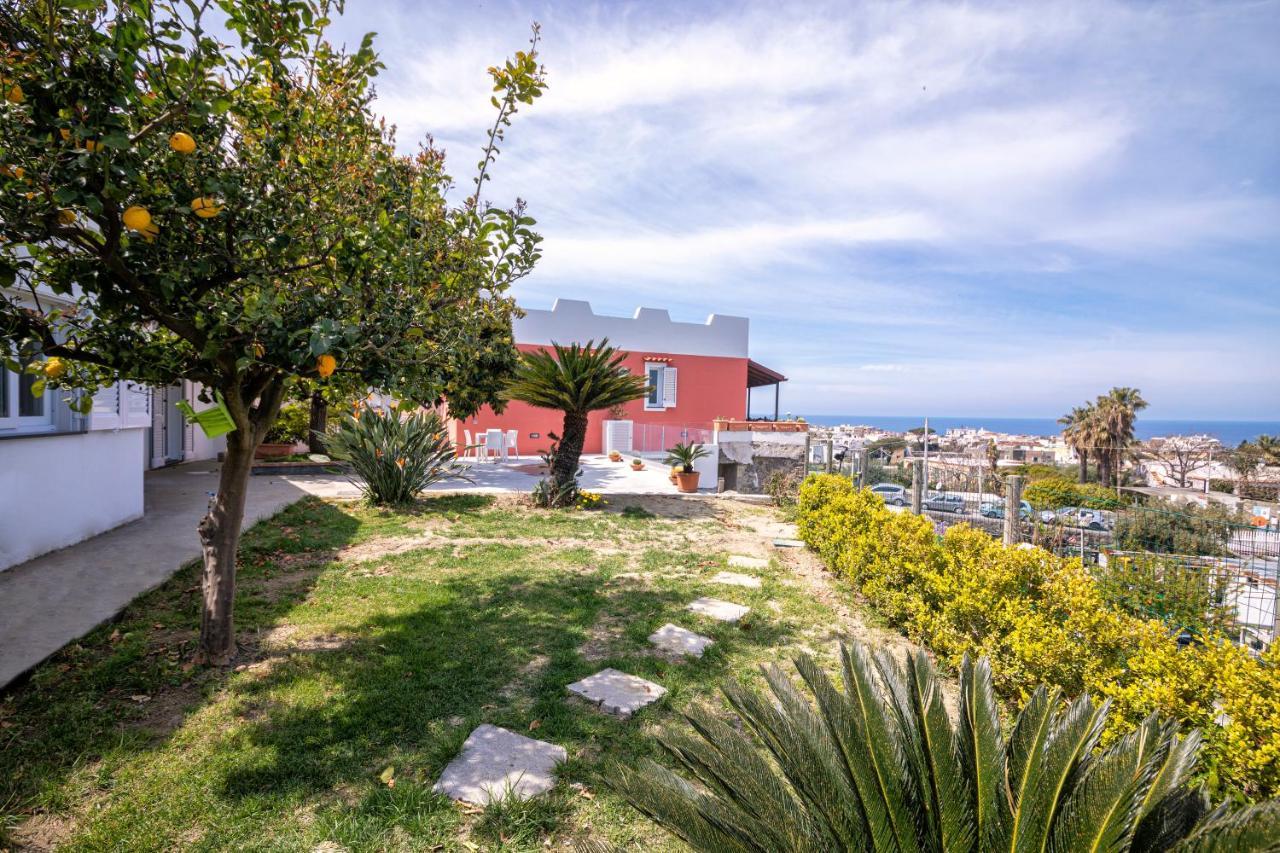 Casa Yucca Villa Forio  Luaran gambar