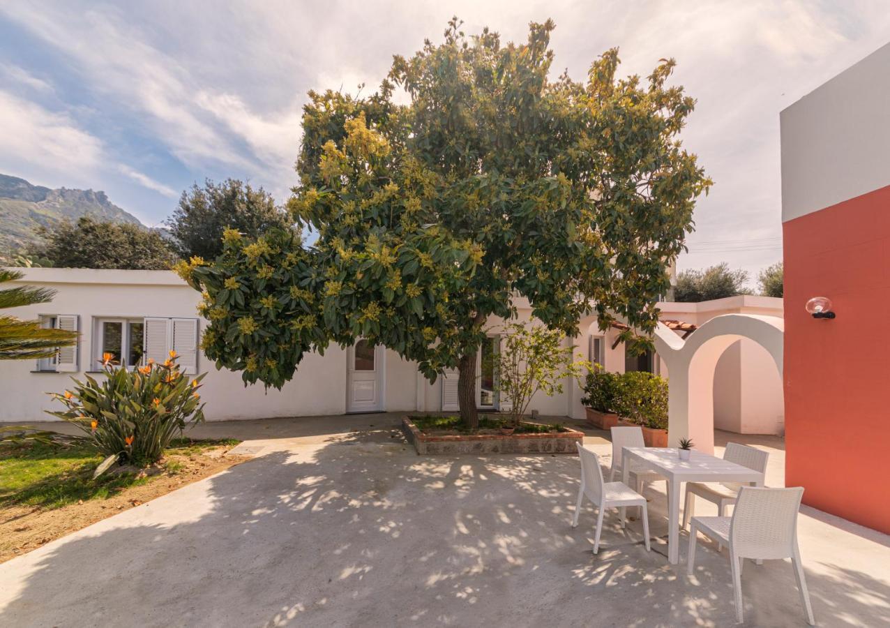Casa Yucca Villa Forio  Luaran gambar