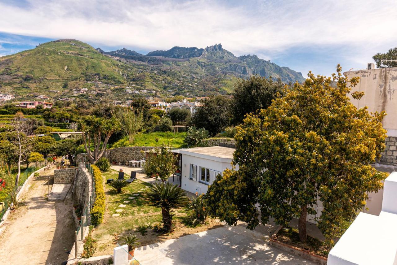 Casa Yucca Villa Forio  Luaran gambar